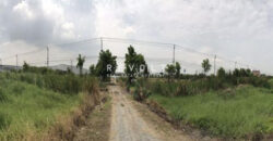 Land for Sale : Bangplee, Sammut Prakan