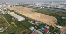 Factory for Rent : Vacant for Built to Suit Rubber Gloves Business.