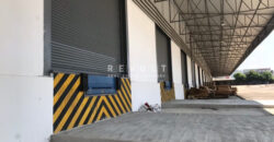 Warehouse for Rent : Near Pinthong IE