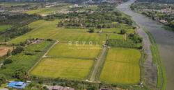 Land for Sale : Tha Chin River-Nakhon Chai Si (Lan Tak Fa Road)