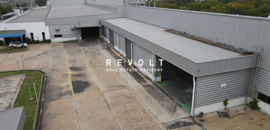 Factory for Sale/Rent : Rojjana Industrial Park