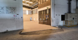 Factory For Sale : Seishin (Japan)