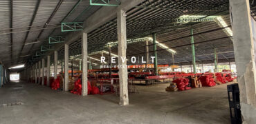 Warehouse for Rent : Nakhon Ratchasima-Chok Chai Road